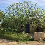 Villa Agave Piscine Leucate
