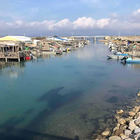 Agave Piscine 勒卡特