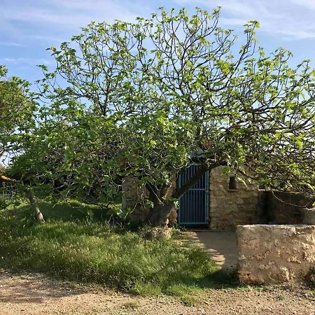 Villa Agave Piscine Leucate