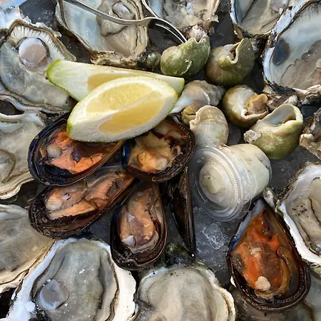 别墅 Agave Piscine *