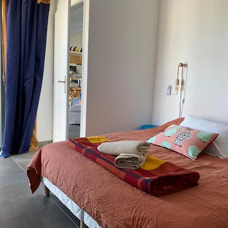 Agave Piscine Villa Leucate