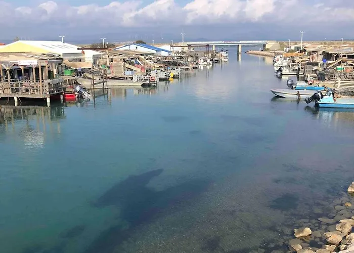 Agave Piscine לאוקאט