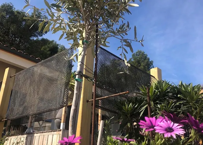 Agave Piscine Villa Leucate
