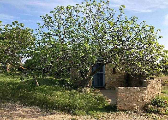Villa Agave Piscine Leucate